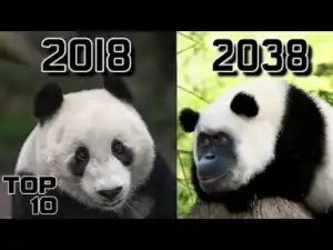 Video: Top 10 Animals That Will CHANGE In Your Lifetime